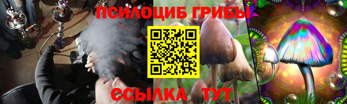 Псилоцибиновые грибы Psilocybe  Вход с VPN  Выборг 